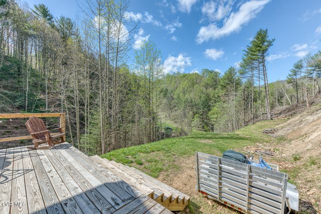 633 T Greer Road, Mountain City, TN 37683