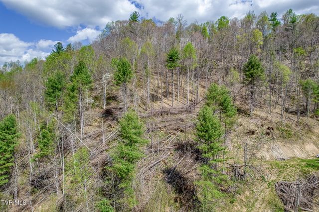 633 T Greer Road, Mountain City, TN 37683