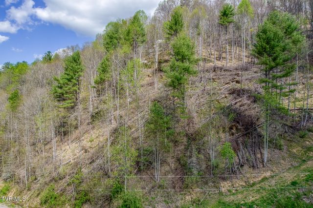 633 T Greer Road, Mountain City, TN 37683