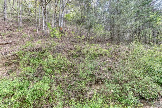633 T Greer Road, Mountain City, TN 37683