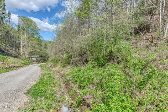 633 T Greer Road, Mountain City, TN 37683