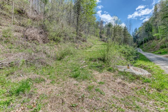 633 T Greer Road, Mountain City, TN 37683