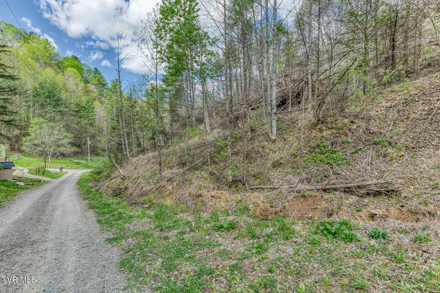 633 T Greer Road, Mountain City, TN 37683