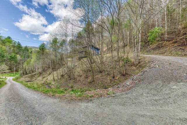 633 T Greer Road, Mountain City, TN 37683