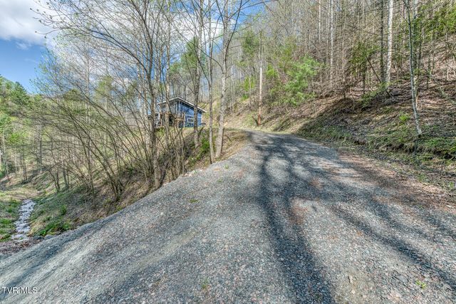 633 T Greer Road, Mountain City, TN 37683