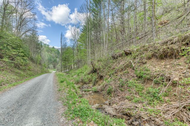 633 T Greer Road, Mountain City, TN 37683