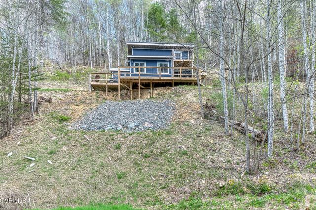 633 T Greer Road, Mountain City, TN 37683