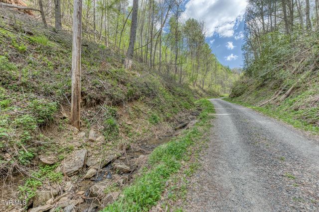 633 T Greer Road, Mountain City, TN 37683
