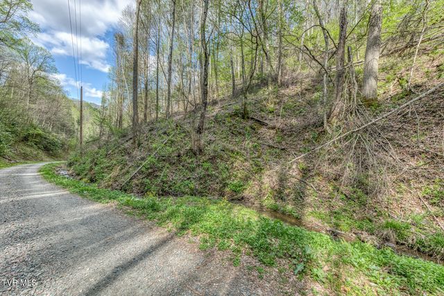 633 T Greer Road, Mountain City, TN 37683