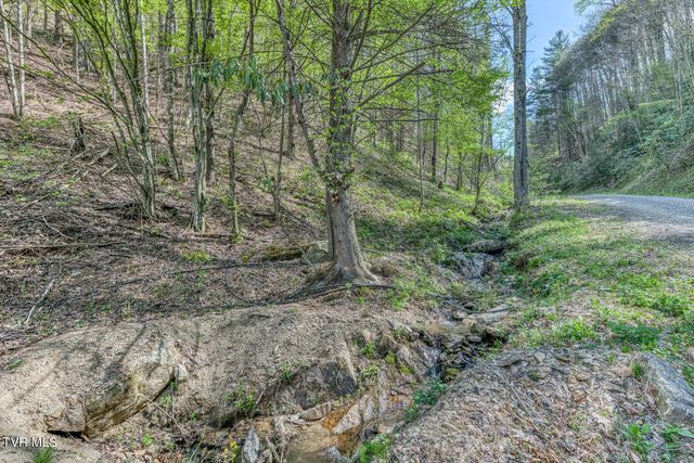 633 T Greer Road, Mountain City, TN 37683