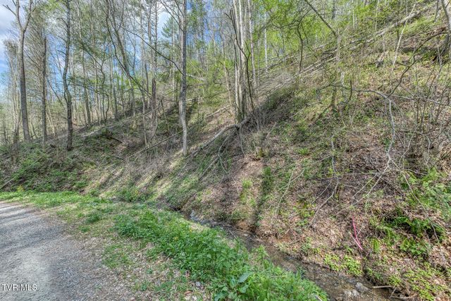 633 T Greer Road, Mountain City, TN 37683