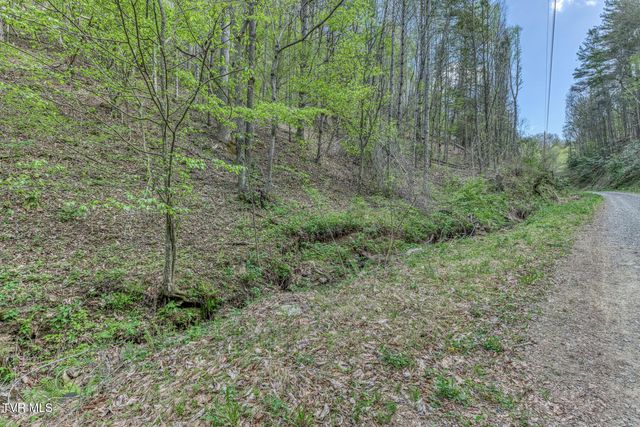 633 T Greer Road, Mountain City, TN 37683