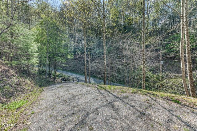 633 T Greer Road, Mountain City, TN 37683