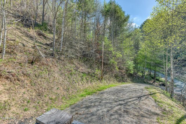 633 T Greer Road, Mountain City, TN 37683