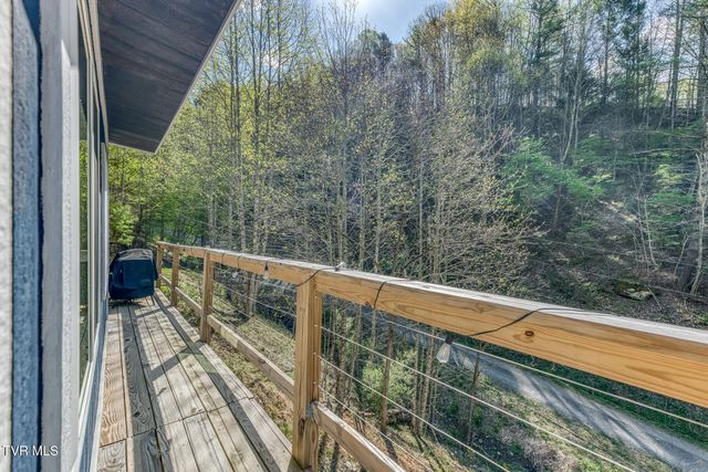 633 T Greer Road, Mountain City, TN 37683