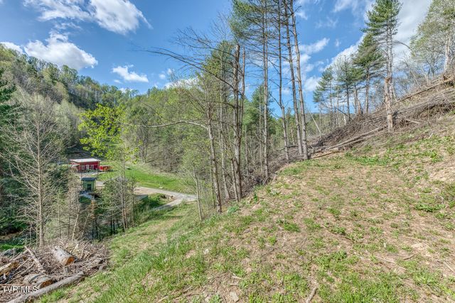 633 T Greer Road, Mountain City, TN 37683