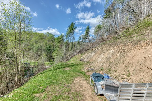 633 T Greer Road, Mountain City, TN 37683