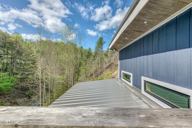 633 T Greer Road, Mountain City, TN 37683
