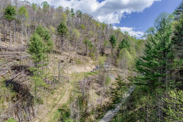 633 T Greer Road, Mountain City, TN 37683