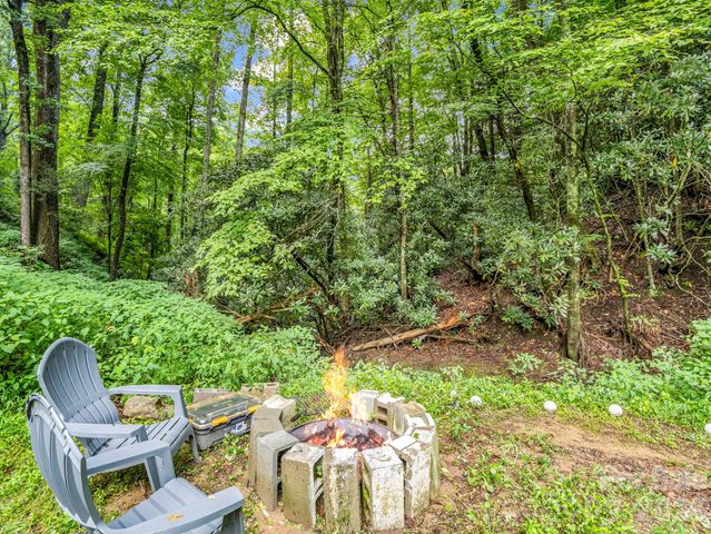 60 Owenby Cove Road, Fairview, NC 28730
