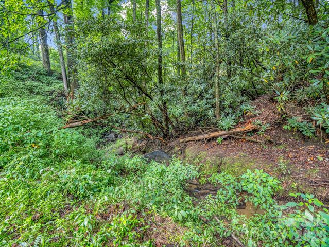 60 Owenby Cove Road, Fairview, NC 28730