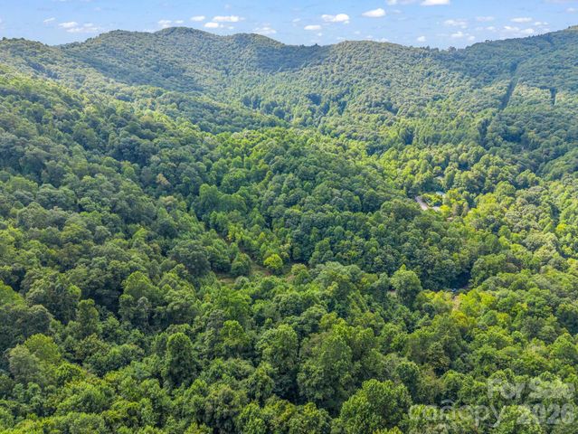 60 Owenby Cove Road, Fairview, NC 28730