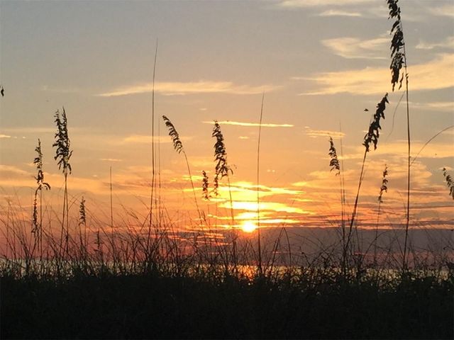 7905 SEMINOLE BOULEVARD 3301, Seminole, FL 33772