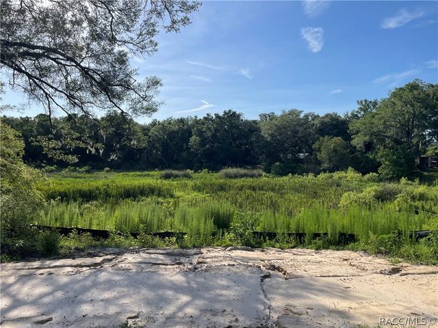 6532 N Iris Drive, Hernando, FL 34442