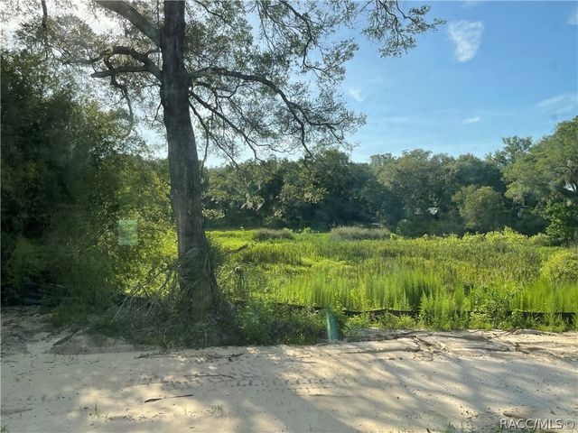 6532 N Iris Drive, Hernando, FL 34442