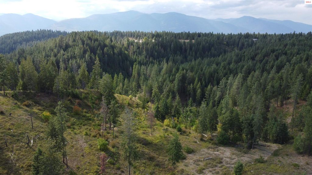 NKA Ponderosa Way, Bonners Ferry, ID 83805 photo 7