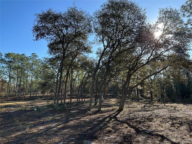 451 SE 144TH AVENUE, Williston, FL 32696