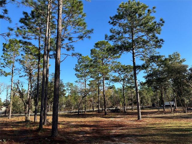 451 SE 144TH AVENUE, Williston, FL 32696