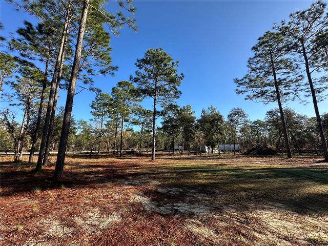 451 SE 144TH AVENUE, Williston, FL 32696