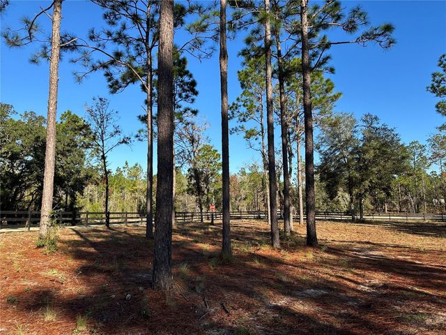 451 SE 144TH AVENUE, Williston, FL 32696