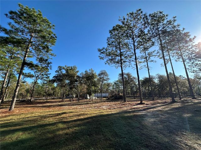 451 SE 144TH AVENUE, Williston, FL 32696