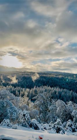 4820 Shooting Star Rd, Pollock Pines, CA 95726