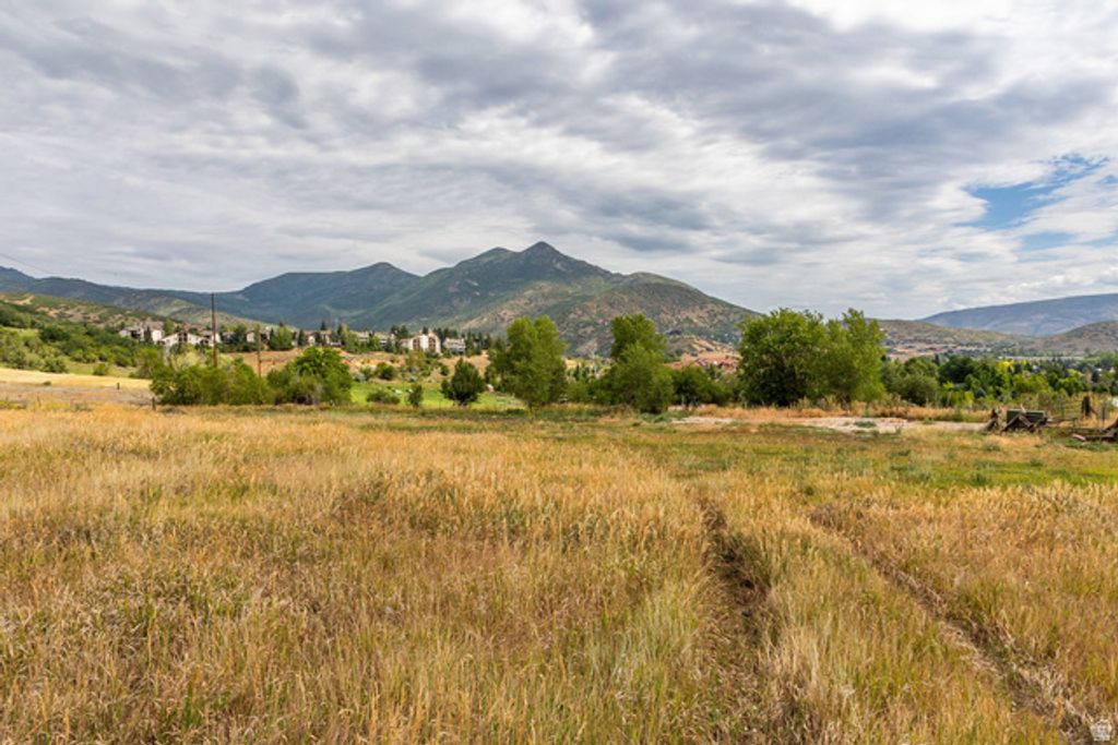 950 SWISS ALPINE RD, Midway, UT 84049 — photo 5