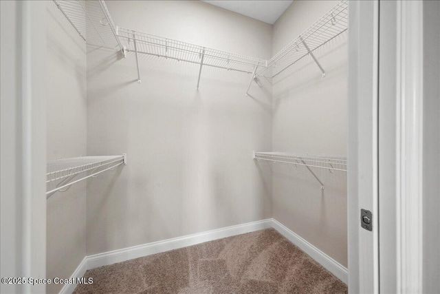 1035 Captiva Island Circle SW, Palm Bay, FL 32908