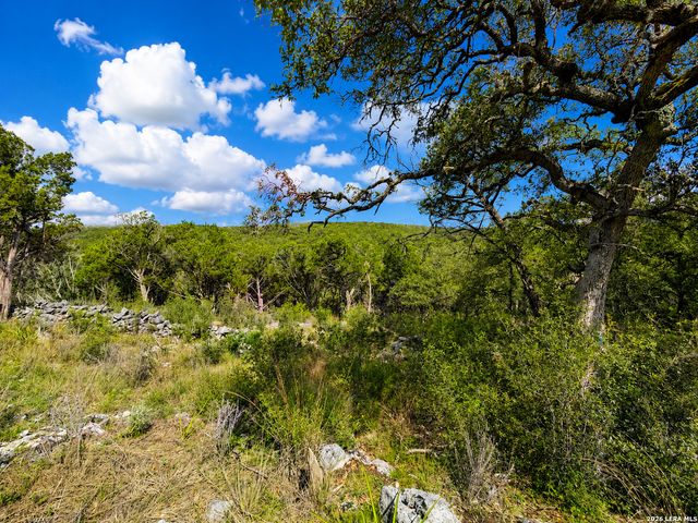 1417 POWDER RIDGE RD, New Braunfels, TX 78132