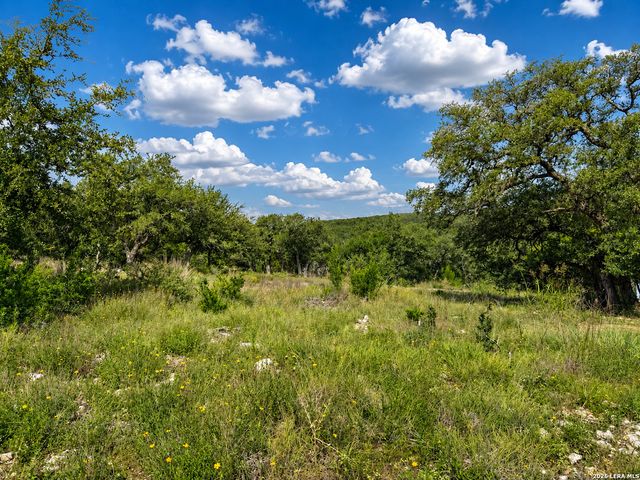 1417 POWDER RIDGE RD, New Braunfels, TX 78132