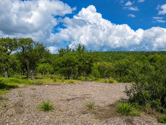 1417 POWDER RIDGE RD, New Braunfels, TX 78132