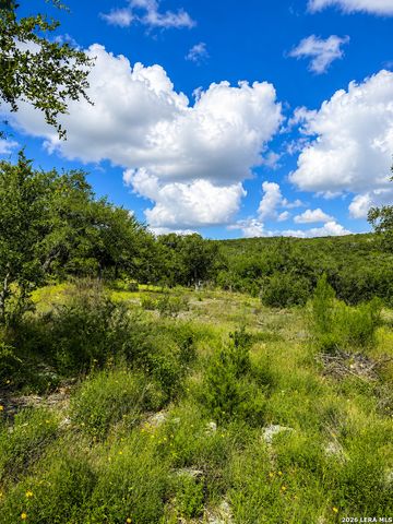 1417 POWDER RIDGE RD, New Braunfels, TX 78132