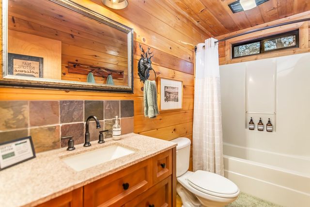 22 N Candice Court, Blue Ridge, GA 30513
