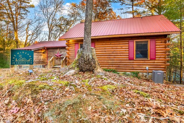 22 N Candice Court, Blue Ridge, GA 30513