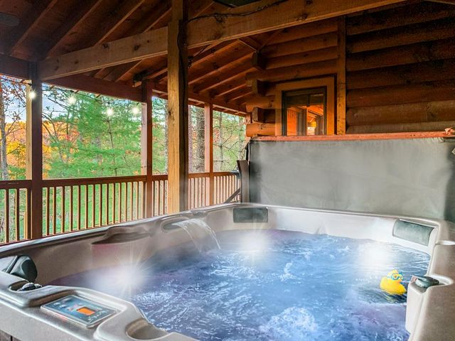 22 N Candice Court, Blue Ridge, GA 30513