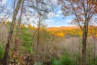 22 N Candice Court, Blue Ridge, GA 30513