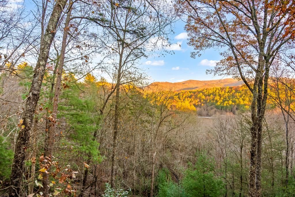 22 N Candice Court, Blue Ridge, GA 30513