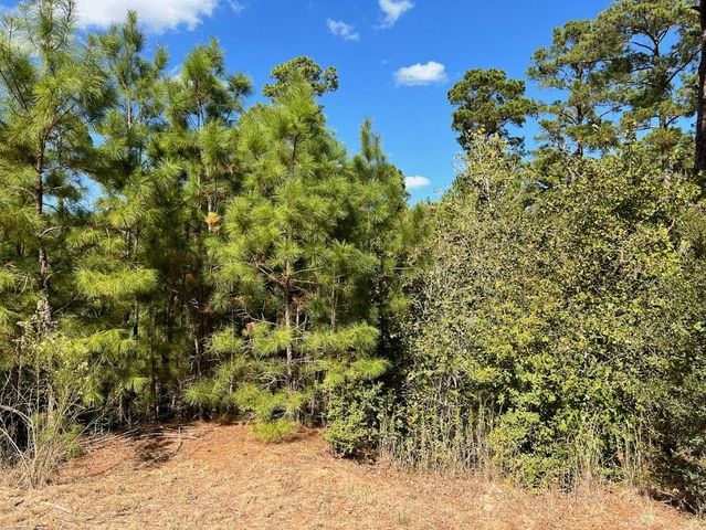 Lot 986 Kailua L LN, Bastrop, TX 78602