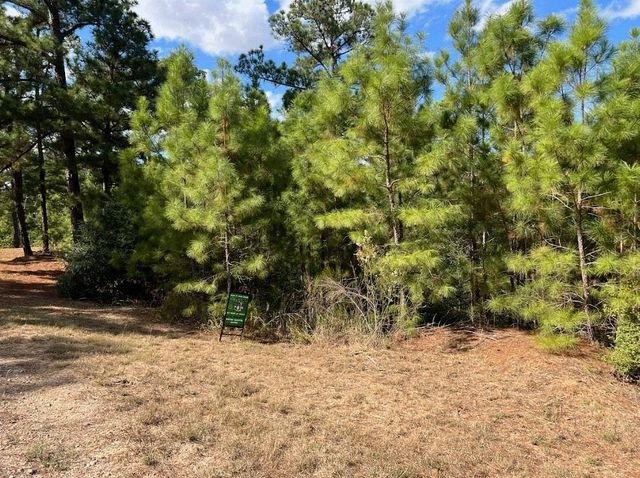 Lot 986 Kailua L LN, Bastrop, TX 78602