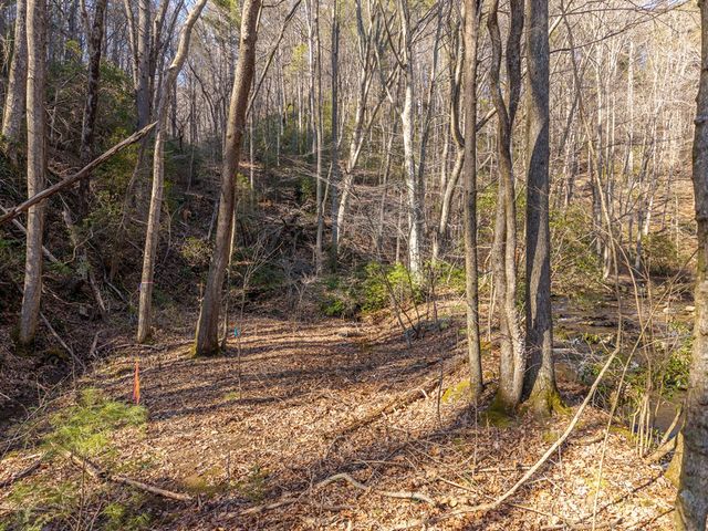 5411 Turniptown Road, Ellijay, GA 30536